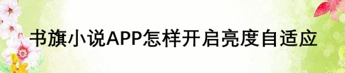 书旗小说在哪设置亮度自适应