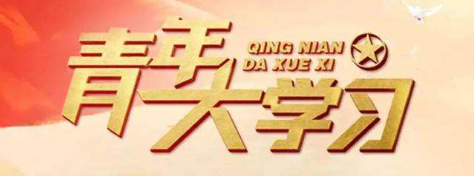 青年大学习其中提出要以为目标确保贫困村驻村工作队选派精准