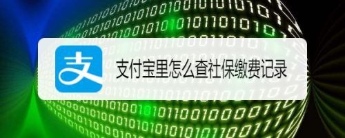 支付宝社保缴费记录怎么查询