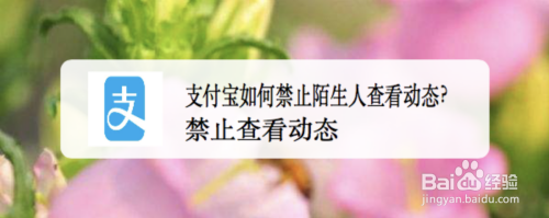 支付宝怎么禁止陌生人查看我的动态