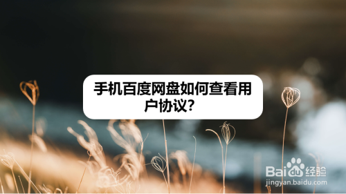 手机百度网盘用户协议怎么查看