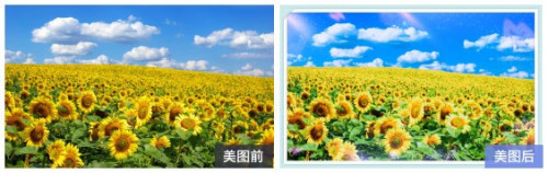 美图秀秀设计向日葵明信片步骤分享