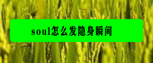 soul怎么发布隐身瞬间