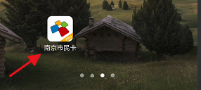 南京市民卡如何查看卡片明细