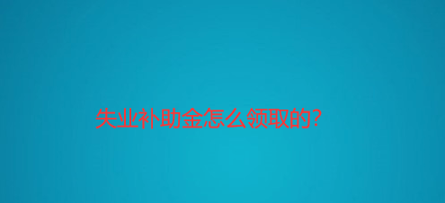 支付宝在哪申领失业补助金