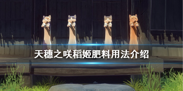 天穗之咲稻姬肥料如何使用