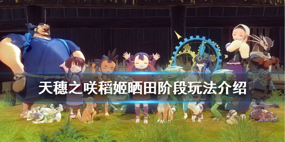 天穗之咲稻姬晒田阶段如何过