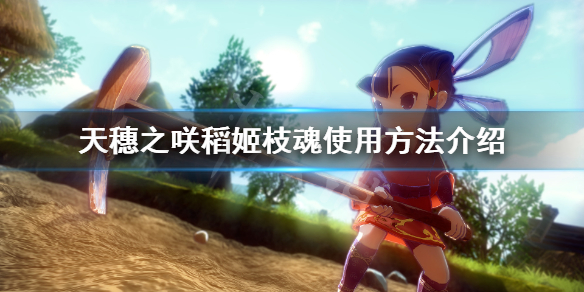 天穗之咲稻姬枝魂怎么样