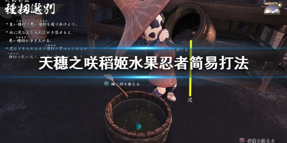 天穗之咲稻姬水果忍者怎么玩