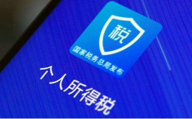 个人所得税去哪看申报记录