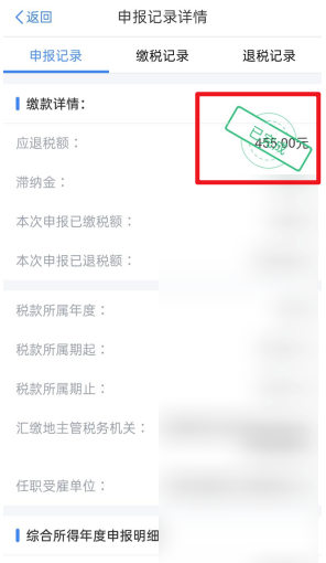 个人所得税去哪看申报记录