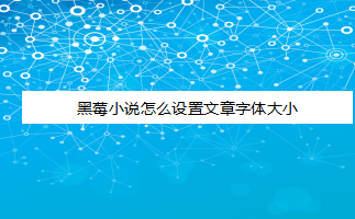 黑莓小说怎样调整阅读字体大小