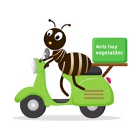 蚂蚁买菜 ios版
