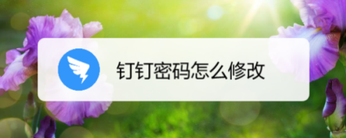 钉钉怎么修改账号密码