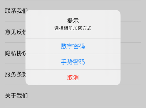 私人相册管家大全 ios版