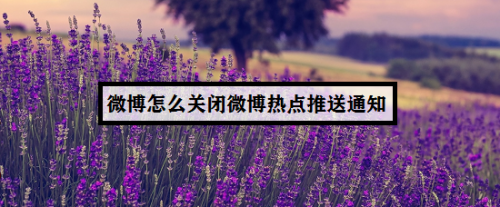 微博热点推送怎么关闭