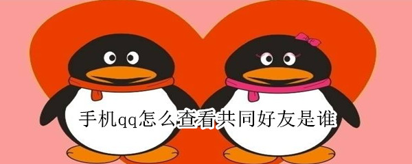 qq共同好友怎么看