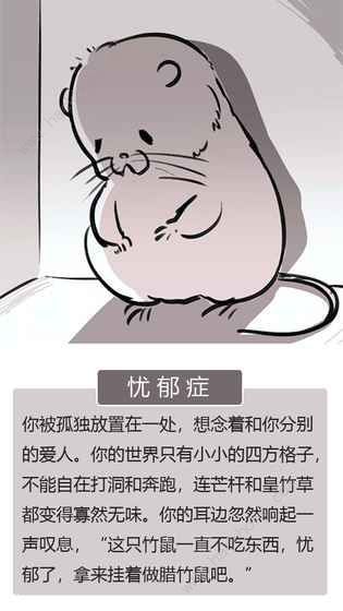 竹鼠活下去怎么玩？新手玩法技巧分享