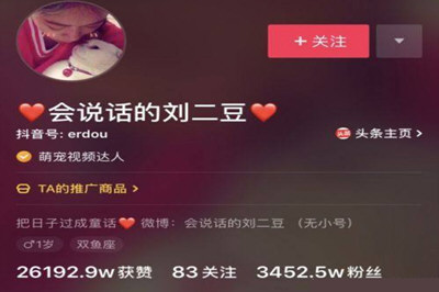 2018抖音最火的人排行
