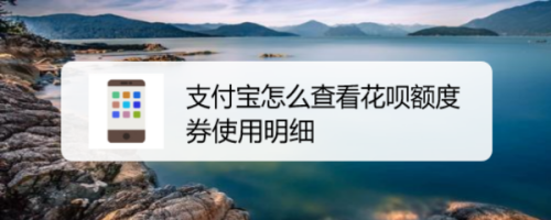 支付宝查询花呗额度券使用明细教程介绍