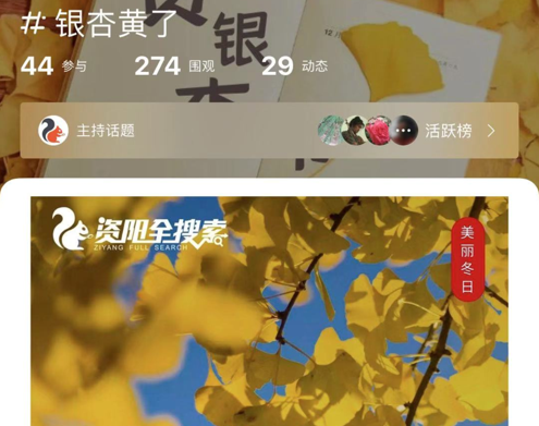 资阳全搜索 ios版