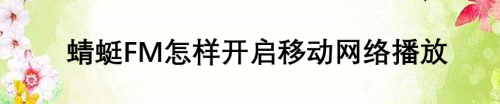 蜻蜓FM怎样开启使用移动网络播放