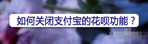 1607662915414151.png 支付宝花呗怎么关闭