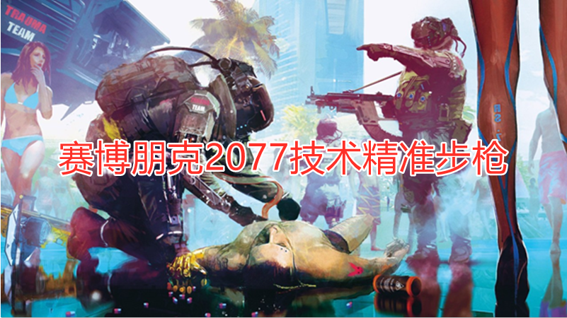 赛博朋克2077技术精准步枪哪个好用