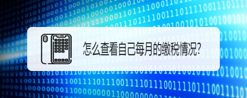 个人所得税怎么查看缴税记录