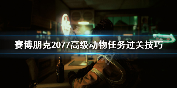 赛博朋克2077高级动物任务怎么打