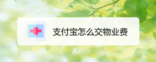 支付宝怎样缴纳物业费