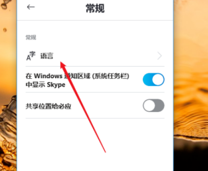 skype更改语言教程介绍