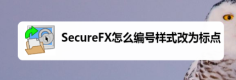 SecureFX编号样式设置为标点方法介绍