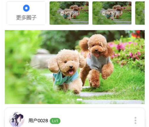 宠U ios版