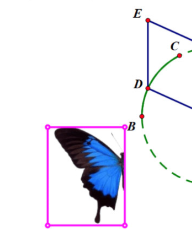 几何画板蝴蝶动画设计方法介绍