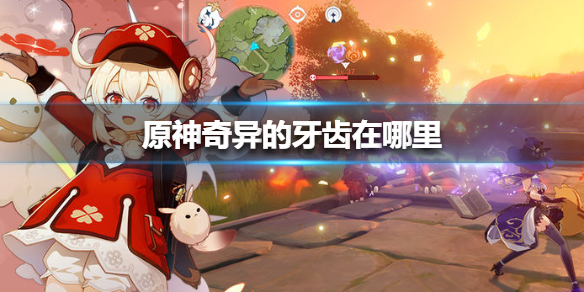 原神奇异的牙齿怎么获得
