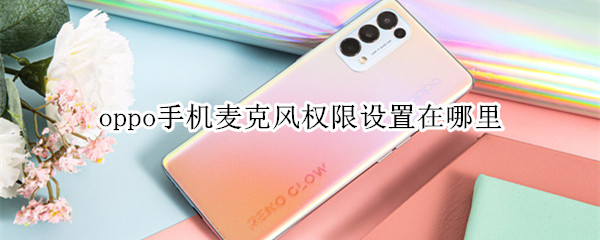 oppo手机麦克风权限在哪设置