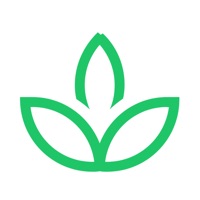 绿叶按摩 ios版