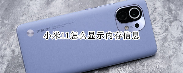小米11内存在哪看