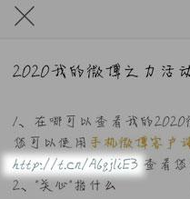 2020微博之力怎样看