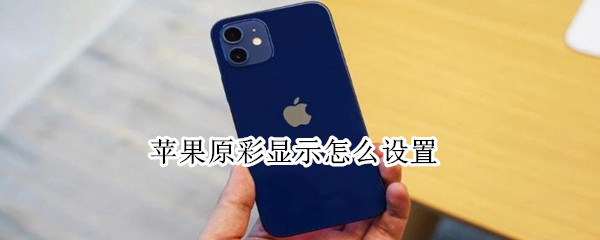 苹果原彩显示在哪设置