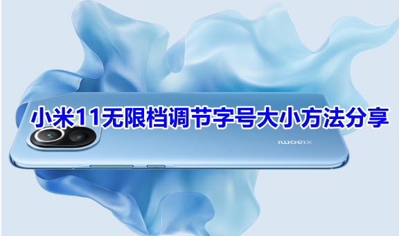 小米11无限档调节字号大小方法分享