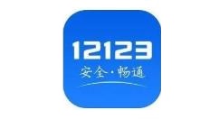 交管12123汽车牌怎么补办