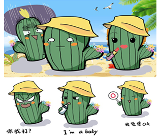 小小仙人掌 ios版