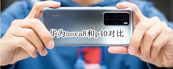 华为nova8和p40区别有哪些