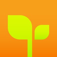 亲宝宝 ios版