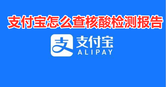 支付宝怎么查核酸检测报告