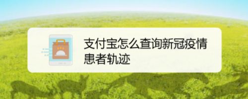 支付宝查询新冠确诊患者轨迹怎么看