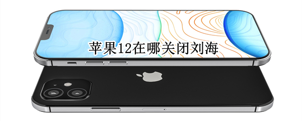苹果12怎么隐藏刘海
