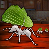 空闲厨房蚂蚁模拟器 ios版